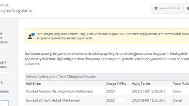 E-Devlet Dava Dosyası Sorgulama