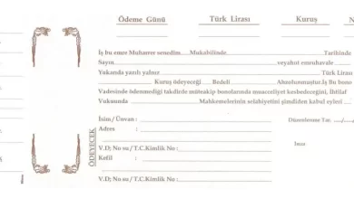 Boş Senet Örneği